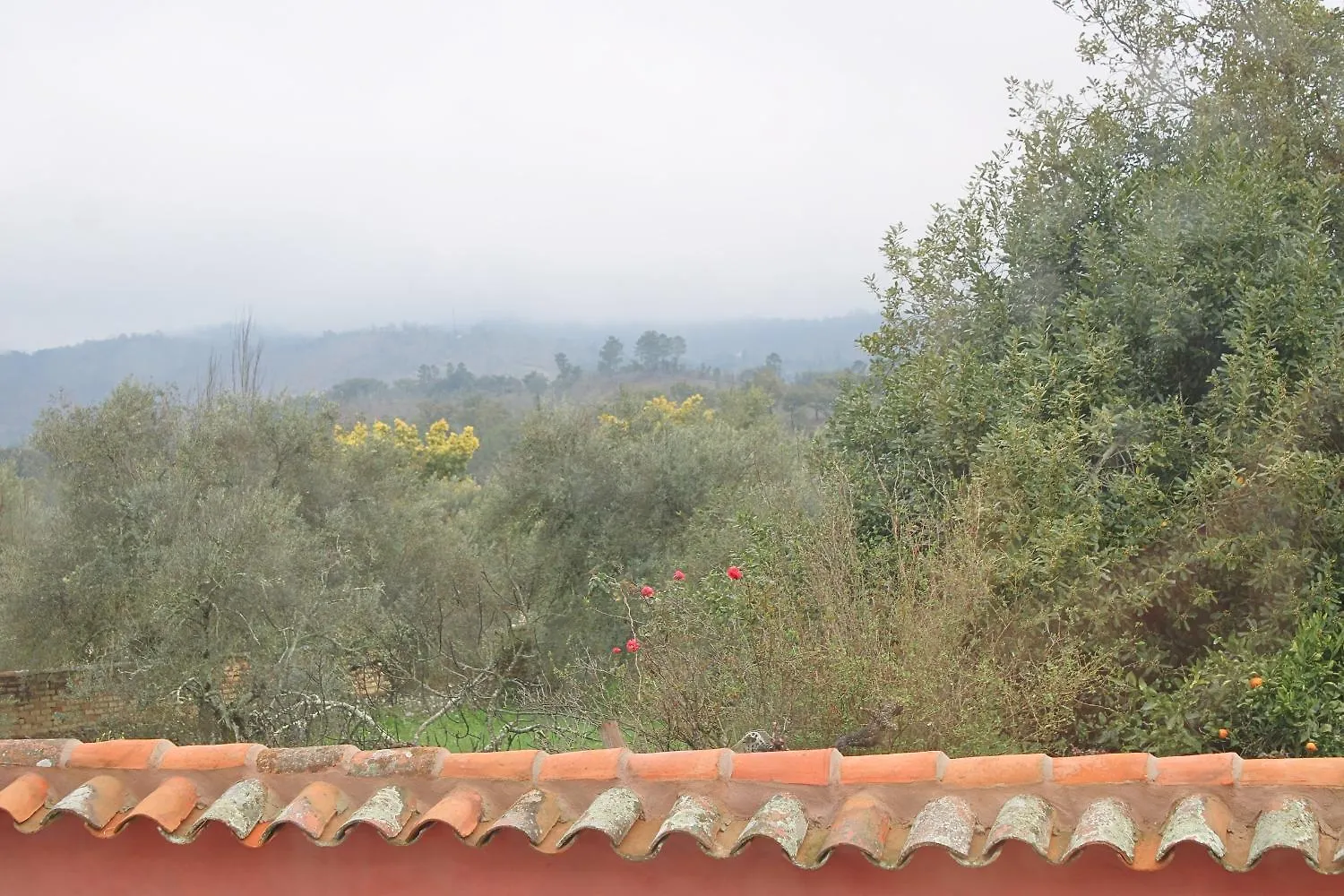 Apartamento Mejorana I By Sierra Viva Navahermosa  Apartment Navahermosa (Huelva)